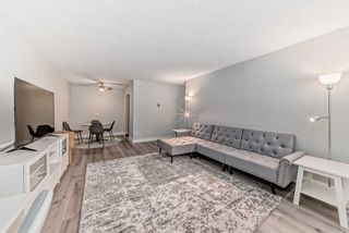 Photo 7: 103 1027 Cameron Avenue SW in Calgary: Lower Mount Royal Apartment for sale : MLS®# A2113620