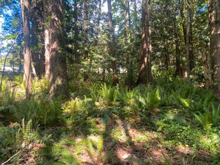Photo 22: Lot B GRANDVIEW Road in Gibsons: Gibsons & Area Land for sale (Sunshine Coast)  : MLS®# R2860061