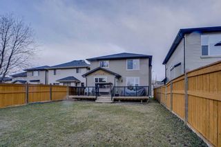 Photo 12: 795 Auburn Bay Heights SE in Calgary: Auburn Bay Detached for sale : MLS®# A2122912