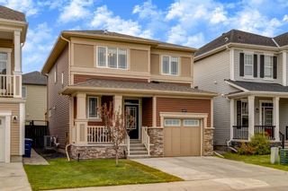 Main Photo: 427 Windrow Common SW: Airdrie Detached for sale : MLS®# A2135781