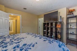 Photo 27: 277 Martin Crossing Place NE in Calgary: Martindale Detached for sale : MLS®# A2109008