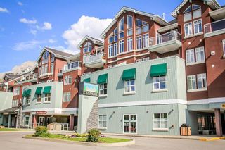 Photo 1: 201 1151 Sidney Street: Canmore Apartment for sale : MLS®# A1181500
