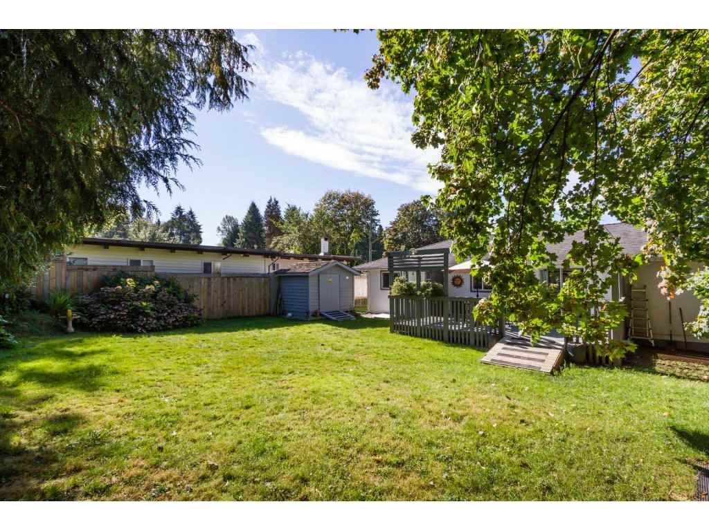 Photo 18: Photos: 11266 LOUGHREN Drive in Surrey: Bolivar Heights House for sale (North Surrey)  : MLS®# R2111434