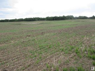 Photo 9: Twp Rd 612 RR 223: Rural Thorhild County Vacant Lot/Land for sale : MLS®# E4318876