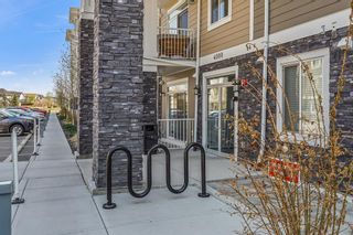 Photo 33: 4209 522 Cranford Drive SE in Calgary: Cranston Apartment for sale : MLS®# A2048805