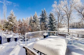 Photo 34: 14136 Evergreen Street SW in Calgary: Shawnee Slopes Detached for sale : MLS®# A2026897