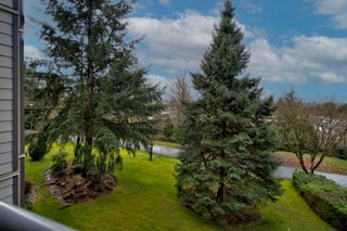 Photo 25: 309 6707 SOUTHPOINT Drive in Burnaby: South Slope Condo for sale in "MISSION WOODS" (Burnaby South)  : MLS®# R2641628