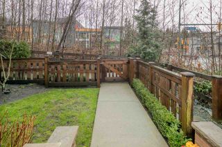 Photo 20: 9 3380 FRANCIS Crescent in Coquitlam: Burke Mountain Townhouse for sale in "Francis Gate" : MLS®# R2147926