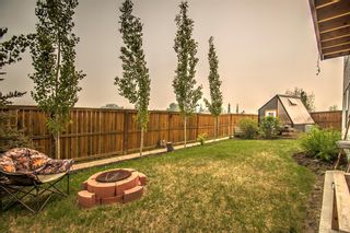 Photo 38: 9 Goddard Circle: Carstairs Detached for sale : MLS®# A2050876