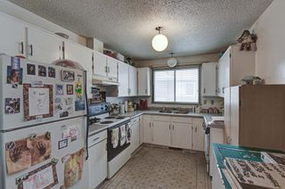 Photo 25: 53 & 55 Dovercliffe Way SE in Calgary: Dover Duplex for sale : MLS®# A1178005