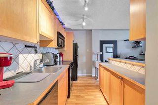 Photo 4: 303 1129 Cameron Avenue SW in Calgary: Lower Mount Royal Apartment for sale : MLS®# A2123648