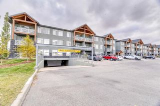 Photo 4: 307 1005B Westmount Drive: Strathmore Apartment for sale : MLS®# A1154751