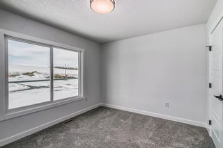 Photo 33: 97 Baysprings Gardens SW: Airdrie Detached for sale : MLS®# A2030415