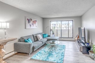 Photo 6: 602 1234 14 Avenue SW in Calgary: Beltline Apartment for sale : MLS®# A1254622