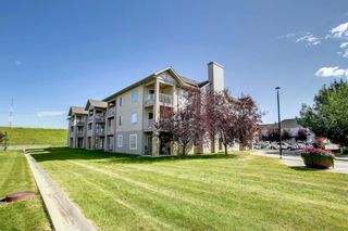 Photo 47: 320 3000 Citadel Meadow Point NW in Calgary: Citadel Apartment for sale : MLS®# A1244571