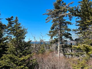 Photo 10: LOT Bald Rock Road in Bald Rock: 9-Harrietsfield, Sambr And Halib Vacant Land for sale (Halifax-Dartmouth)  : MLS®# 202315285