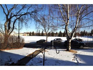 Photo 26: 3031 25 Street SW in Calgary: Richmond House for sale : MLS®# C4092785