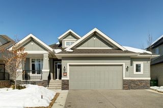 Main Photo: 48 Elgin Estates View SE in Calgary: McKenzie Towne Detached for sale : MLS®# A2029636