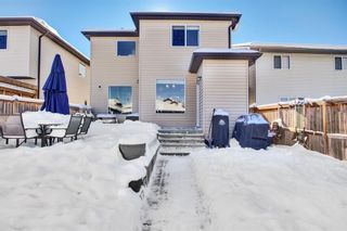 Photo 42: 68 Elgin View SE in Calgary: McKenzie Towne Detached for sale : MLS®# A2029018