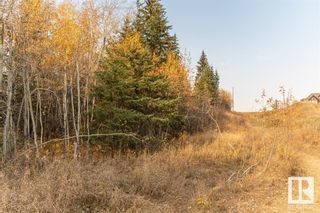 Photo 26: 6 51112 RGE RD 260: Rural Parkland County Vacant Lot/Land for sale : MLS®# E4316779