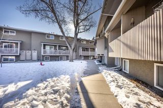 Photo 28: 23 8112 36 Avenue NW in Calgary: Bowness Row/Townhouse for sale : MLS®# A2034576