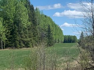 Photo 16: NW-3-45-7-W5   West of Cowboy Trail Hwy #22 in Rural Wetaskiwin No. 10, County of: Rural Wetaskiwin County Residential Land for sale : MLS®# A1230343