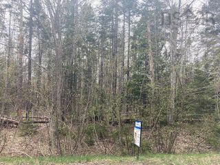 Photo 5: VL Aboiteau Road in Wallace Bay: 103-Malagash, Wentworth Vacant Land for sale (Northern Region)  : MLS®# 202210620