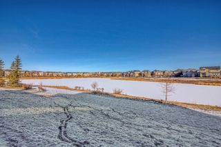 Photo 4: 20 Panatella Manor NW in Calgary: Panorama Hills Detached for sale : MLS®# A1164113