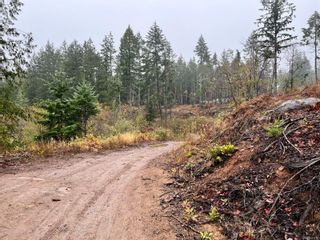 Photo 13: Lt B Whiting Way in Nanaimo: Na Cedar Unimproved Land for sale : MLS®# 918797