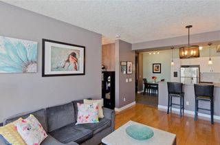 Photo 13: 209 208 HOLY CROSS Lane SW in Calgary: Mission Condo for sale : MLS®# C4113937
