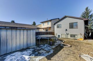 Photo 31: 20 Castleridge Close NE in Calgary: Castleridge Detached for sale : MLS®# A1113165