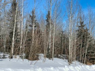 Photo 26: 231 Rge Rd, 624 Twp Rd: Rural Athabasca County Rural Land/Vacant Lot for sale : MLS®# E4281157
