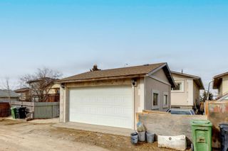 Photo 46: 156 Whitworth Way NE in Calgary: Whitehorn Detached for sale : MLS®# A2039493