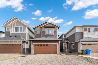 Photo 3: 224 Homestead Grove NE in Calgary: C-686 Detached for sale : MLS®# A2126267