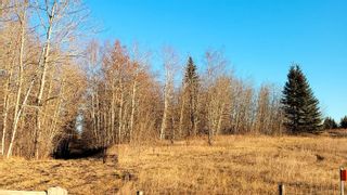 Photo 1: 51313 Rge Road 261: Rural Parkland County Rural Land/Vacant Lot for sale : MLS®# E4269500