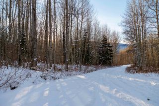 Photo 3: RAINBOW FALLS ROAD in McBride: McBride - Town Vacant Land for sale (Robson Valley)  : MLS®# R2743234