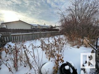 Photo 37: 107 Willow Drive: Wetaskiwin House for sale : MLS®# E4324345