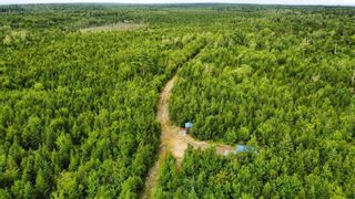 Photo 15: Lot Acacia Valley Road in Bear River: Digby County Vacant Land for sale (Annapolis Valley)  : MLS®# 202315892