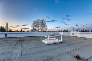 Photo 44: 1507 96 Avenue SW in Calgary: Pump Hill Detached for sale : MLS®# A2034780