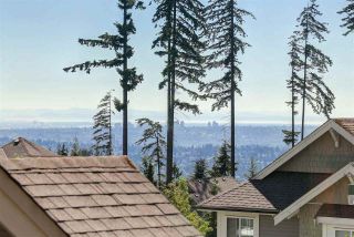 Photo 15: 176 SYCAMORE DRIVE in Port Moody: Heritage Woods PM House for sale : MLS®# R2095529