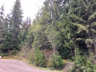 Photo 36: 3,4,6 Armstrong Road in Eagle Bay: Vacant Land for sale : MLS®# 10133907