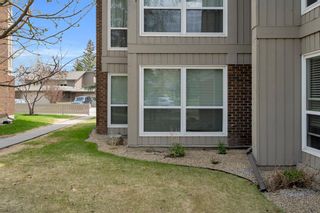 Photo 19: 214 860 Midridge Drive SE in Calgary: Midnapore Apartment for sale : MLS®# A2047108