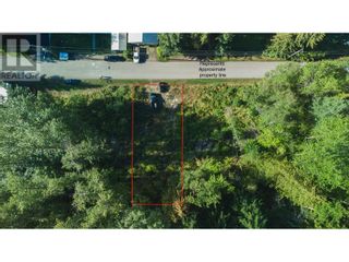 Photo 6: 130 Maple Street in Revelstoke: Vacant Land for sale : MLS®# 10262697