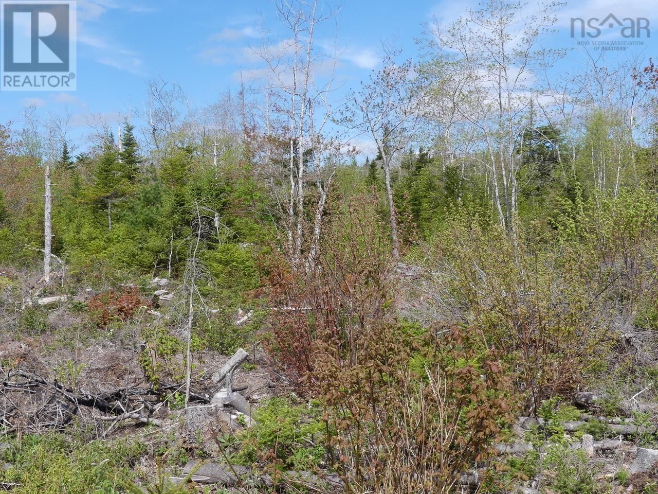 Main Photo: Lot 12 Golden Horizon Drive in South West Port Mouton: Vacant Land for sale : MLS®# 202218662