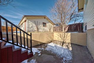 Photo 43: 3224 108 Avenue SW in Calgary: Cedarbrae Detached for sale : MLS®# A2124475