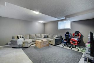 Photo 23: 26 Elgin Park Common SE in Calgary: McKenzie Towne Detached for sale : MLS®# A1232369