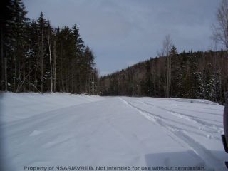 Photo 5: Lot 2 ELSHIRL Road in Plymouth: 108-Rural Pictou County Vacant Land for sale (Northern Region)  : MLS®# 202112048