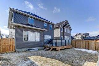 Photo 30: 306 Bayside Crescent SW: Airdrie Detached for sale : MLS®# A2042157