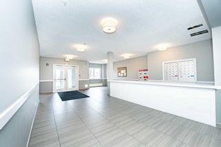 Photo 4: 111 20 Sage Hill Terrace NW in Calgary: Sage Hill Apartment for sale : MLS®# A2129158