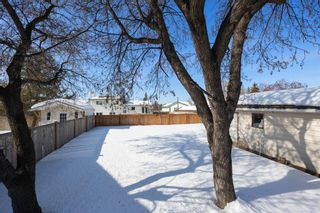 Photo 7: 255 Cornwall Drive: Fort McMurray Detached for sale : MLS®# A2035170